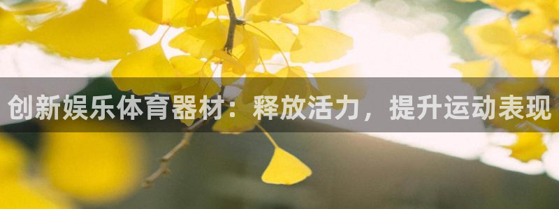 创新娱乐体育器材：释放活力，提升运动表现