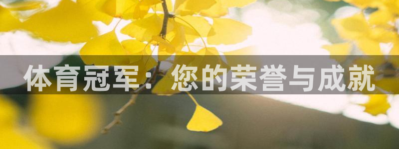 体育冠军：您的荣誉与成就