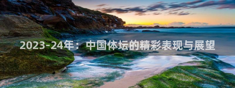 2023-24年：中国体坛的精彩表现与展望